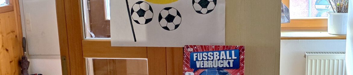 Fusball WM26
